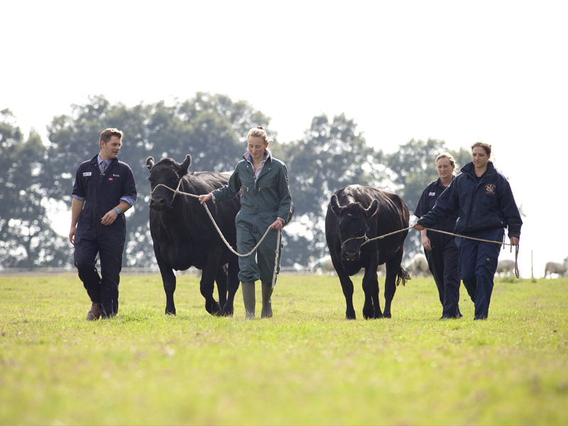 Facilities Student Life Study Royal Veterinary College, RVC